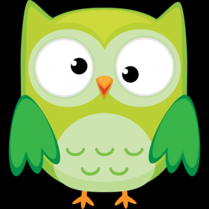Owls - A matching game for kids. для Мак ОС