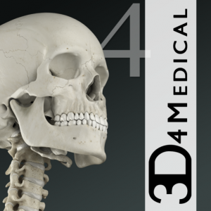 Essential Skeleton 4 для Мак ОС
