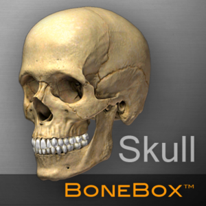 BoneBox™ - Skull Viewer для Мак ОС
