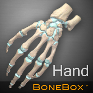 BoneBox™ - Hand для Мак ОС
