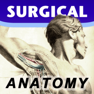 Surgical Anatomy - Premium Edition для Мак ОС