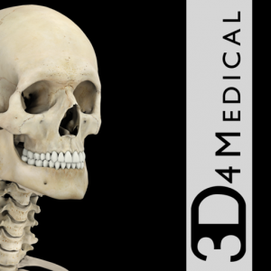 Skeletal System Pro III для Мак ОС