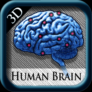 Human Brain Pins 3D для Мак ОС