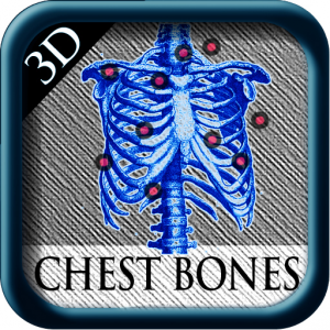 3D Chest Bones для Мак ОС