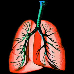 Respiratory System H для Мак ОС