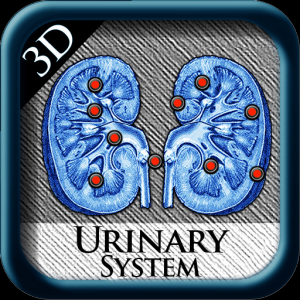 Urinary System 3D pins для Мак ОС
