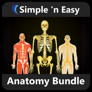 Anatomy Bundle by WAGmob для Мак ОС