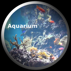 Aquarium Videos для Мак ОС
