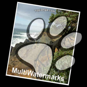MultiWatermarks для Мак ОС