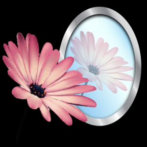 PhotoReflector - Add Reflection Effects To Photos для Мак ОС