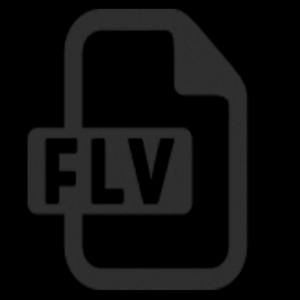 FLV Converter Expert для Мак ОС