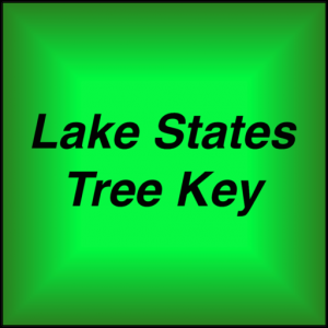 Lake States Tree Key для Мак ОС