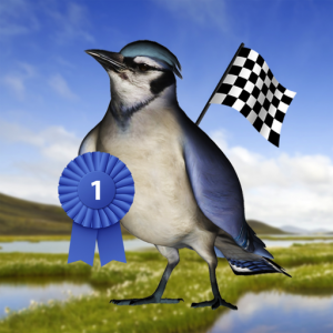 Bird Race - The remake! для Мак ОС