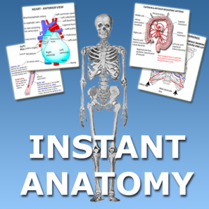 Instant Anatomy для Мак ОС