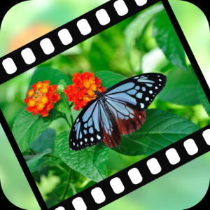 VideoStiller ~ Pull out special "moments" from your video! для Мак ОС