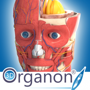 3D Organon Anatomy для Мак ОС