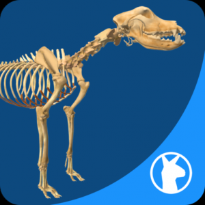 EasyAnatomy: 3D Canine Anatomy для Мак ОС