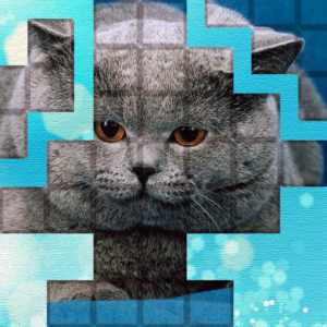 PicPu Cat Puzzle для Мак ОС