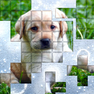 PicPu Dog Puzzle для Мак ОС