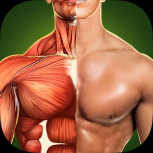 Human Anatomy 3D - Твоё Здоровое Тело для Мак ОС