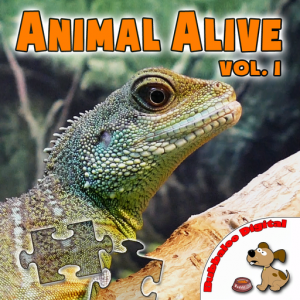 Animal Alive Vol 1 для Мак ОС