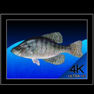 Aquarium 4K - Live Wallpaper для Мак ОС