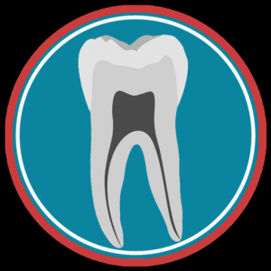 Dental Corpus Primary для Мак ОС