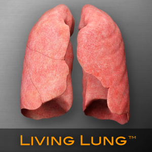 Living Lung™ - Lung Viewer для Мак ОС