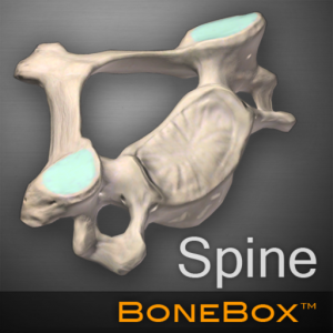 BoneBox - Spine для Мак ОС