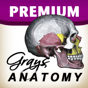 Gray's Anatomy Premium Edition для Мак ОС