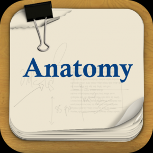 Anatomy Review Flashcards для Мак ОС