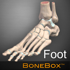 BoneBox-Foot для Мак ОС