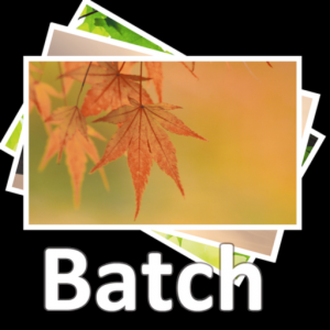 Acc Image Batch Process для Мак ОС
