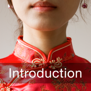 Learn Chinese - Introduction (Lessons 1 to 25) для Мак ОС