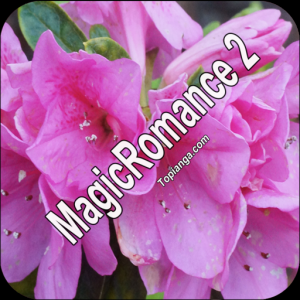 MagicRomance2 для Мак ОС