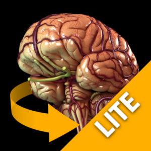 Brain - 3D Atlas of Anatomy Lite для Мак ОС