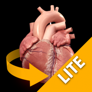 Heart - 3D Atlas of Anatomy Lite для Мак ОС