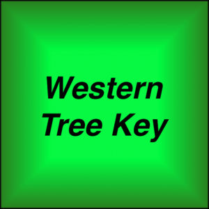 Western Tree Key для Мак ОС