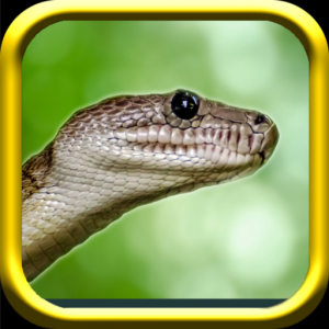 Snake Rampage - Snake Simulator для Мак ОС