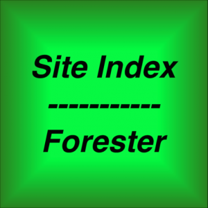 Site Index для Мак ОС