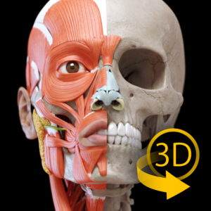 Мышечная система – 3D Атлас анатомии – Кости и мышцы человеческого тела - Muscular System - 3D Atlas of Anatomy для Мак ОС