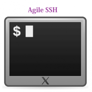 Agile SSH Client - GUI for SSH which support public/private keys authentication and multiple windows sessions для Мак ОС