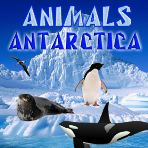 Animals of Antarctica для Мак ОС