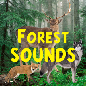 Forest Sounds для Мак ОС