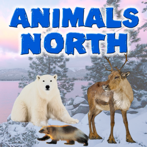 Animals-North для Мак ОС
