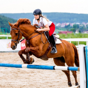 Horse Jumping Skills для Мак ОС