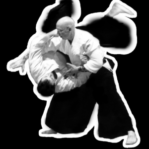 Aikido Master Class для Мак ОС