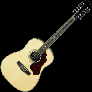 12-String Guitar Tuner Simple для Мак ОС