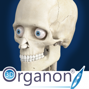 3D Organon Anatomy - Skeleton, Bones, and Ligaments для Мак ОС