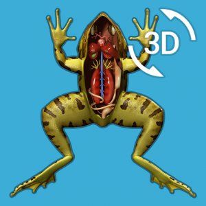 Visual Anatomy - Frog для Мак ОС